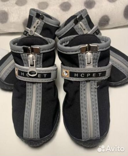 Обувь для собак