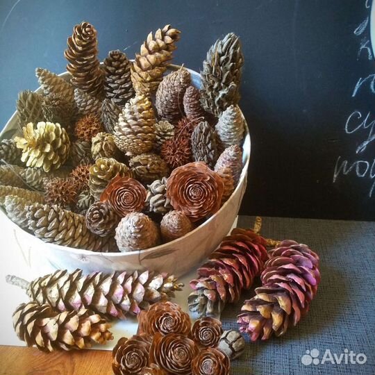 Два набора разных шишек