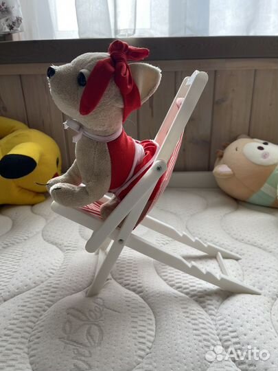 Собака чихуа Cih Cih Love