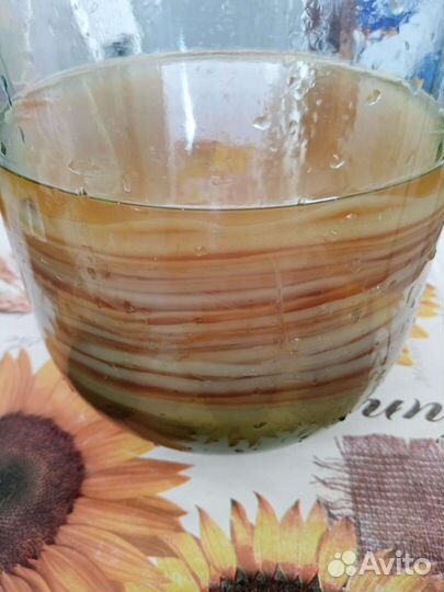 Чайный гриб