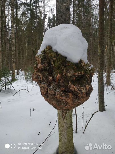 Поделки из дерева