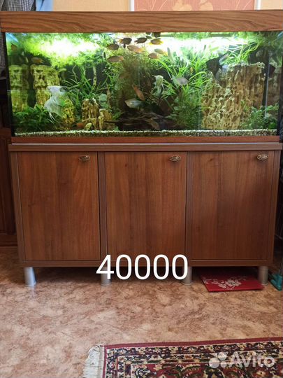 Аквариум