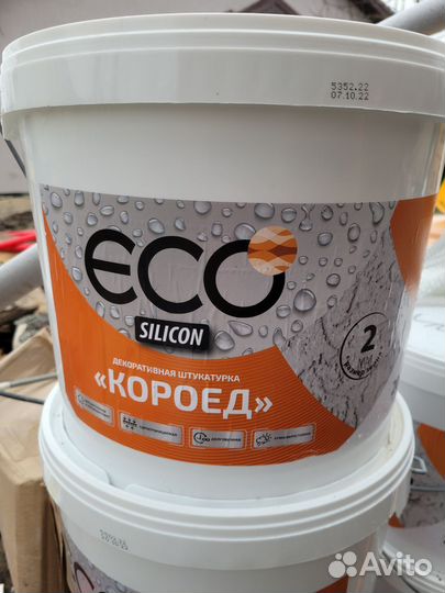 Короед