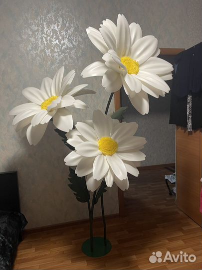 Ростовые цветы