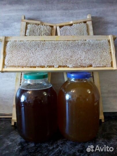 Мёд оптом