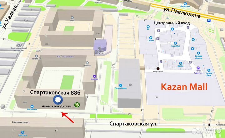 Пангасиус - Акула сом - Аквасалон Дискус