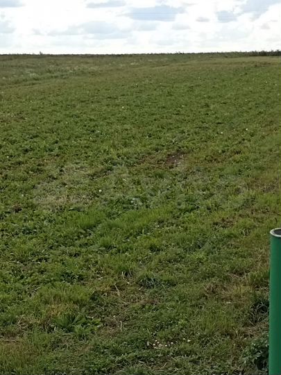 Участок 35 сот. (ИЖС)