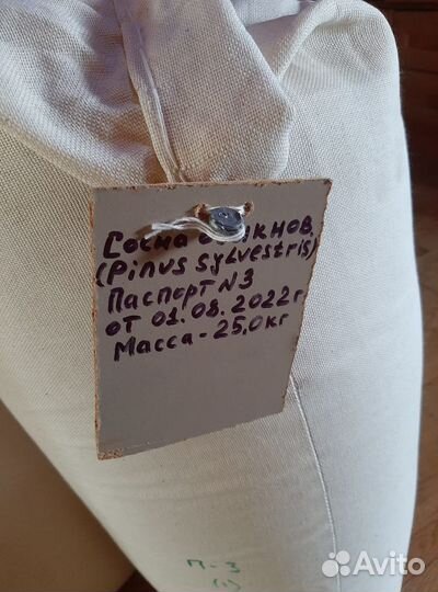 Семена / Ель обыкновенная