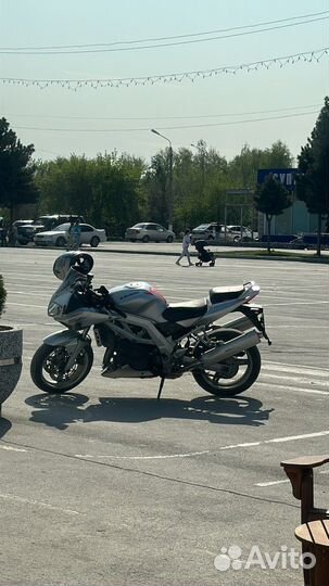 Suzuki sv1000