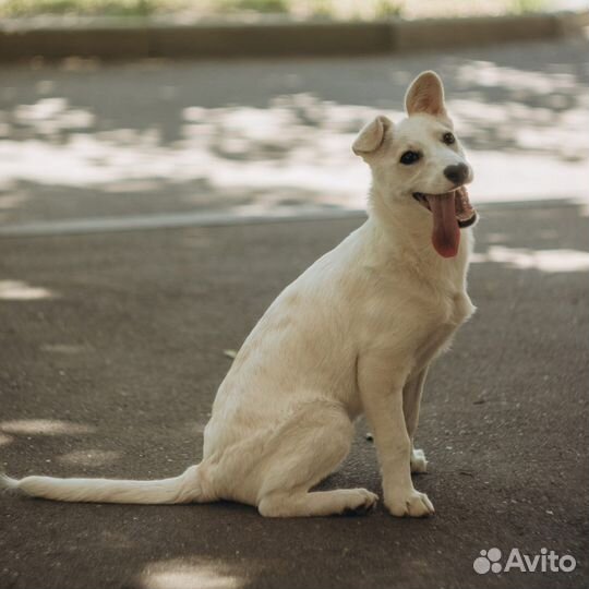 Маленькая Белочка с сердечком для любви