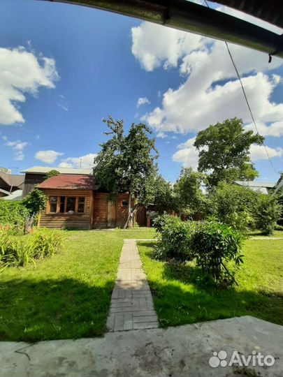 Передержка крупных собак и кошек/отель для животны