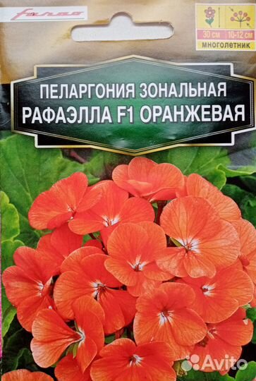 Герань пеларгония