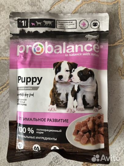 Корм для собак