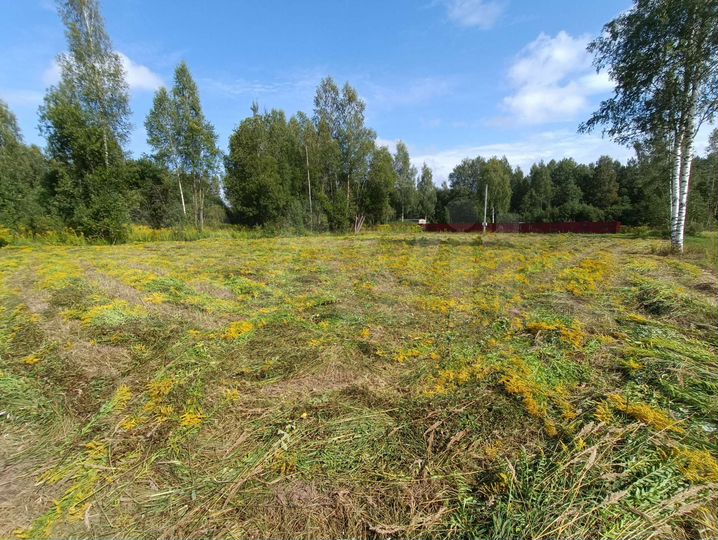 Участок 15 сот. (СНТ, ДНП)