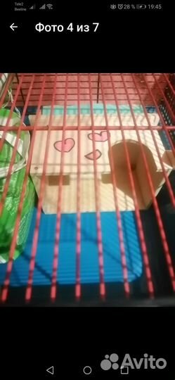 Клетка для мелких И средних грызунов