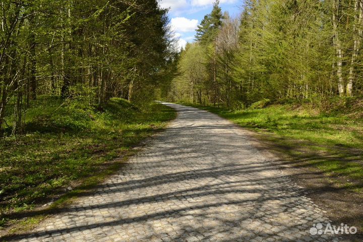 Экскурсия — Калининград — Виштынецкое озеро и Роми