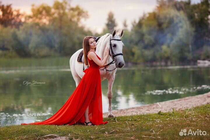 Фотограф / Фотосессия с лошадьми