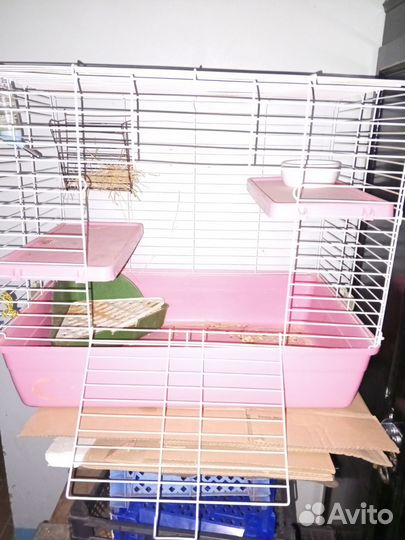 Клетка для шиншиллы