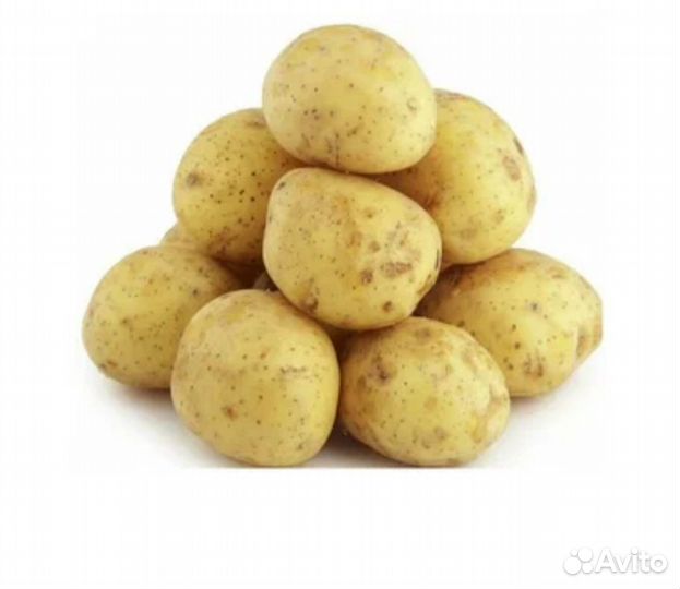 Продам картофель