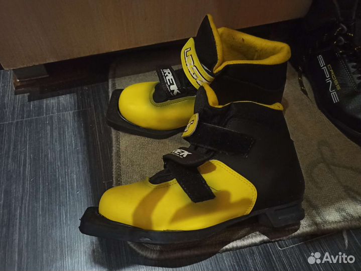 Лыжные ботинки