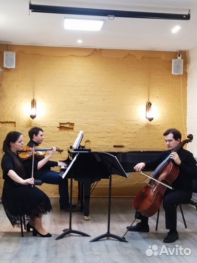 Репетитор / педагог по скрипке