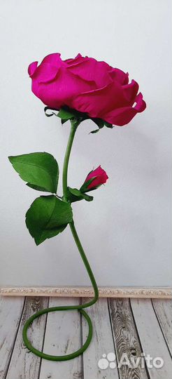 Роза ростовая