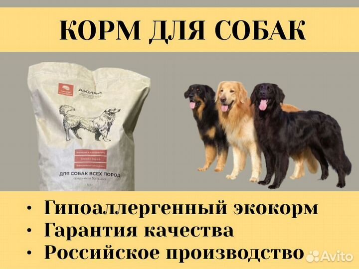 Сухой корм для собак