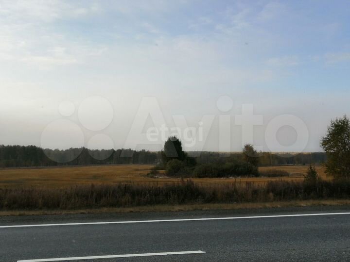 Участок 4 га (СНТ, ДНП)