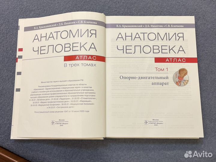 Атлас.Анатомия Человека