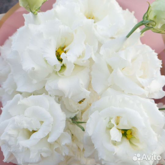 Букет с лизиантусом(Крым)