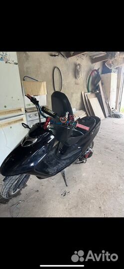 Скутер (shark) 139 qmb