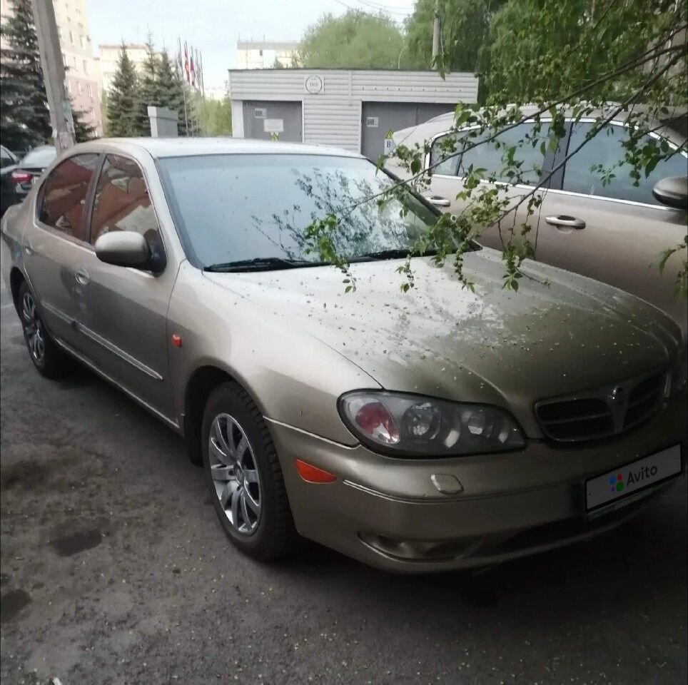 Nissan Maxima: фото владельца