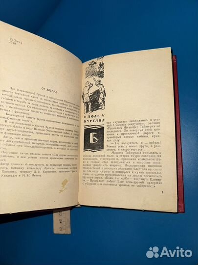 Книга Два друга