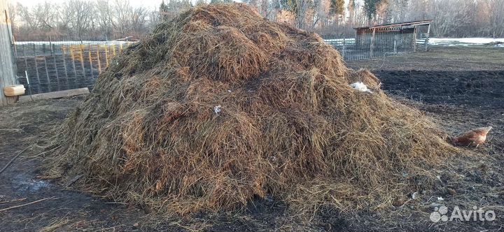 Продам навоз