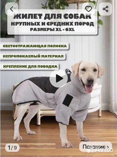 Зимний комбинезон для средних собак новый 3xl