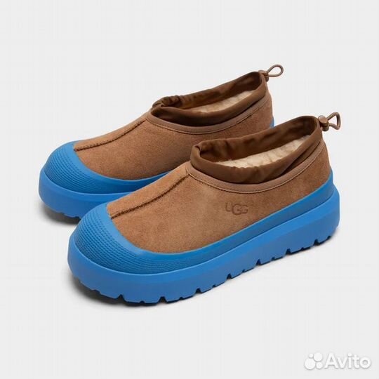 Ugg Tasman