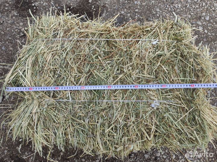 Сено для кроликов