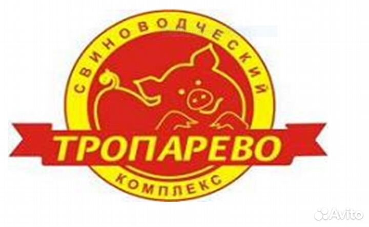 Контролер сутки через трое