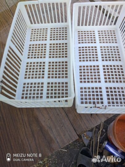 Инкубатор ипх 10