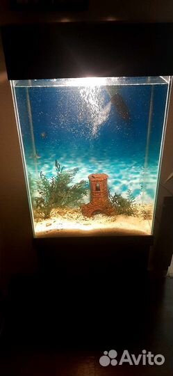Аквариум 110л
