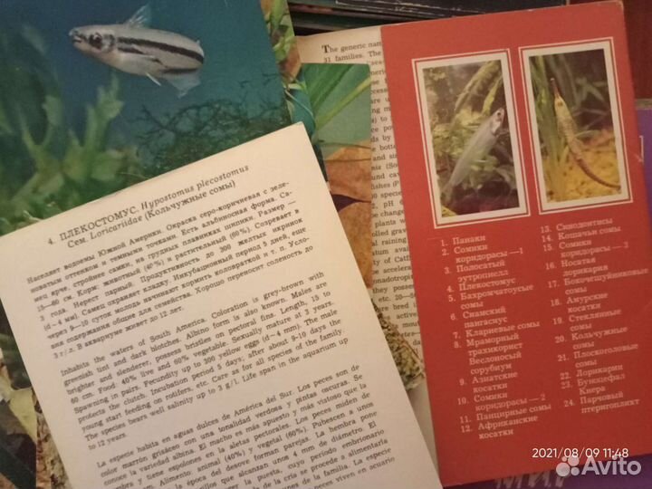 Набор открыток