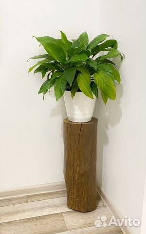 Пень интерьерный