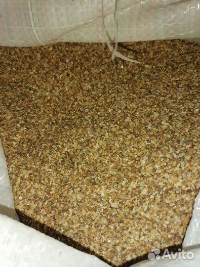 Ракушка морская кормовая