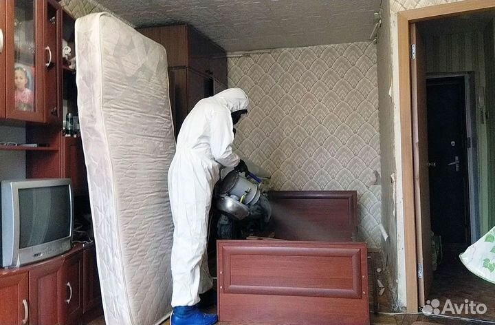 Уничтожение, обработка тараканов, клопов, блох