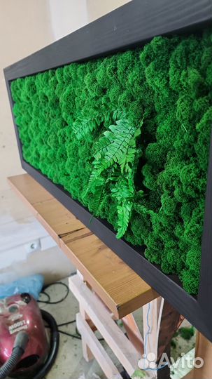 Панно из мха