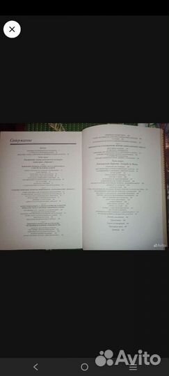 Леонардо да Винчи