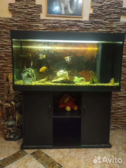 Аквариум с тумбой 300 литров