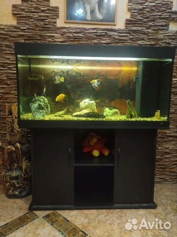 Аквариум с тумбой 300 литров