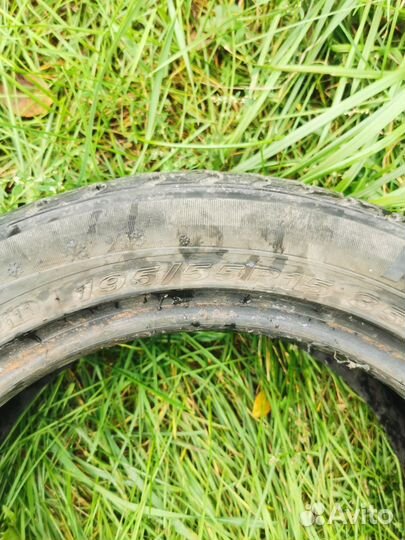 Roadstone Winguard 231 195/55 R15 85
