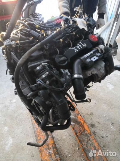 Двигатель Citroen Peugeot 1.6 dizel PSA 9H03